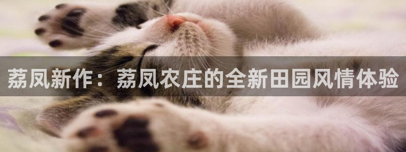 天辰娱乐会所