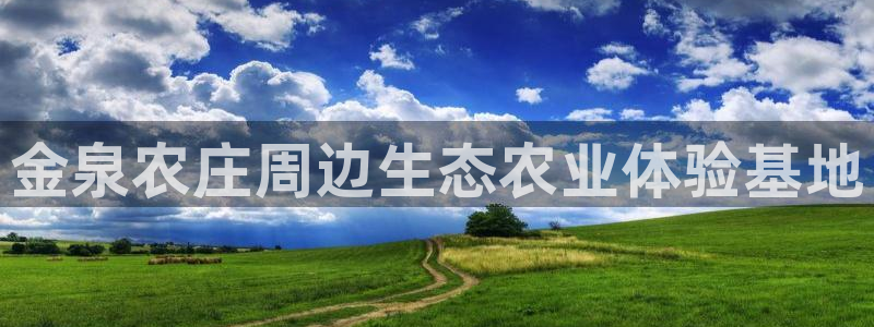 天辰娱乐主管