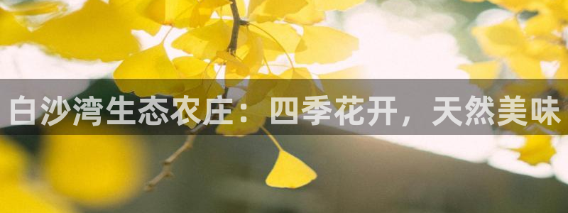 大同天辰娱乐