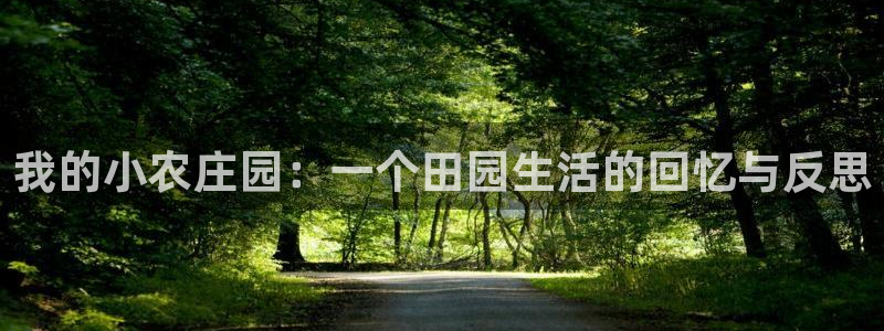 天辰娱乐注册