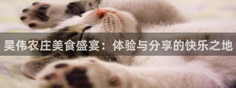 天辰娱乐怎么样