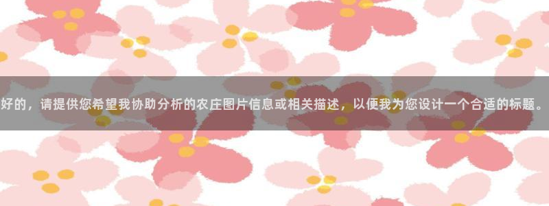 天辰娱乐小妹