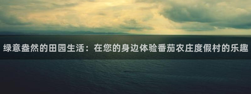 天辰娱乐直属