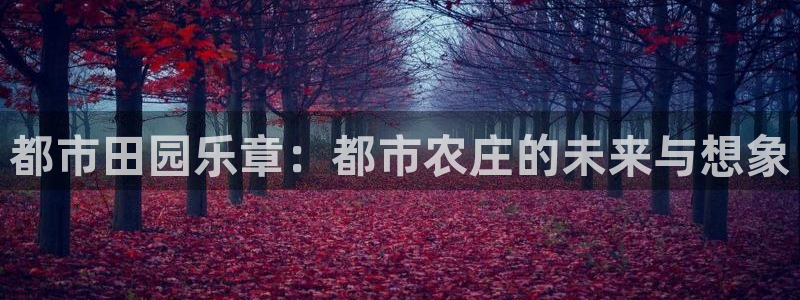 天辰娱乐481928