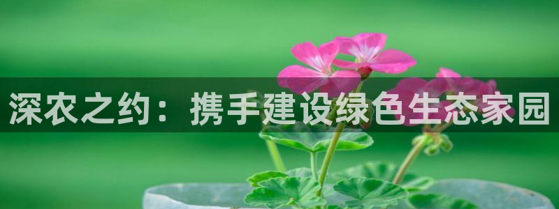 天辰娱乐游戏平台怎么样