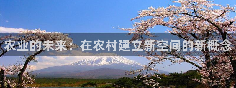 天辰娱乐728567
