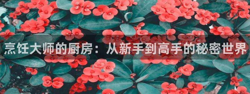 天辰娱乐会员