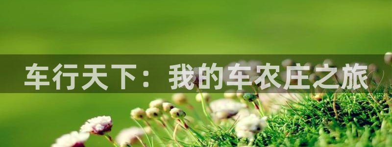 天富天辰娱乐