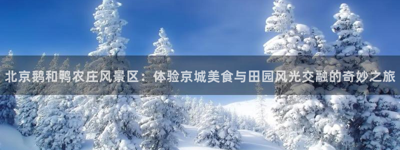 天辰娱乐待遇