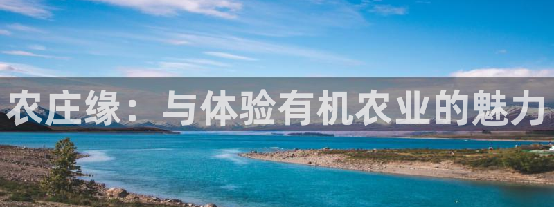 天辰娱乐服务