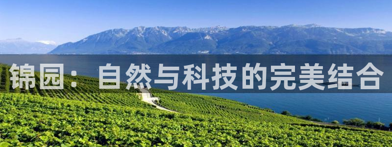 天辰娱乐鱼刺