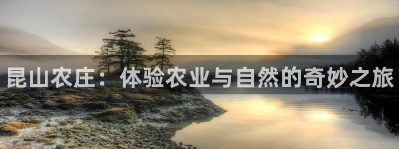 天辰宝宝娱乐