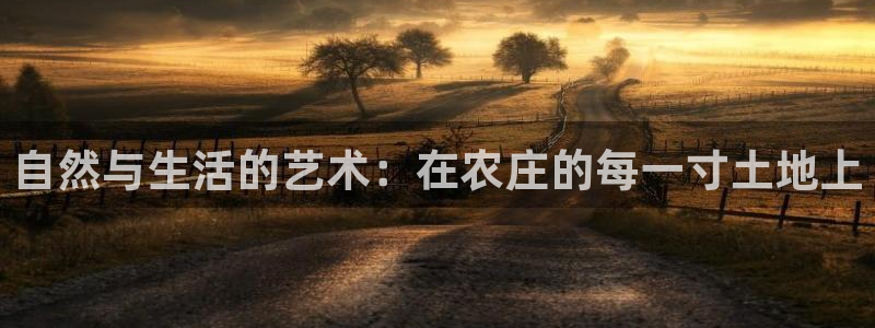 天辰娱乐在哪