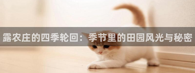 天辰娱乐棋牌