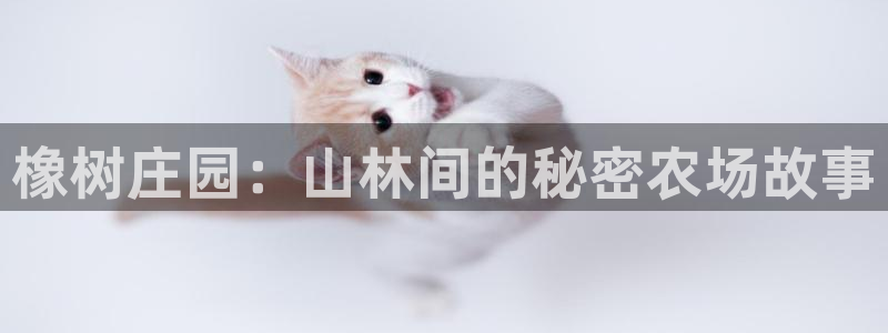 天辰在线娱乐
