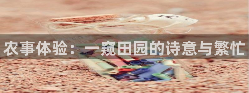 天辰天辰娱乐