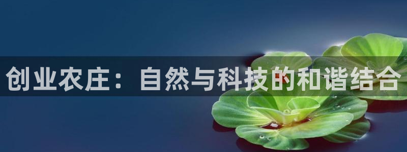 天辰娱乐线路