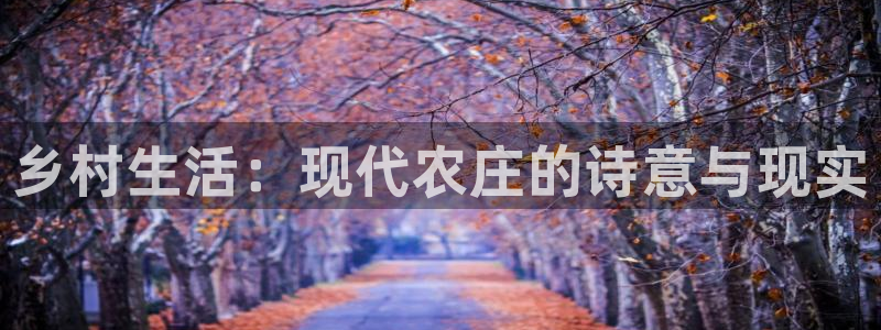 天辰娱乐文案