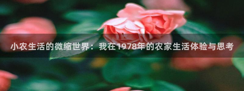 天辰娱乐675138