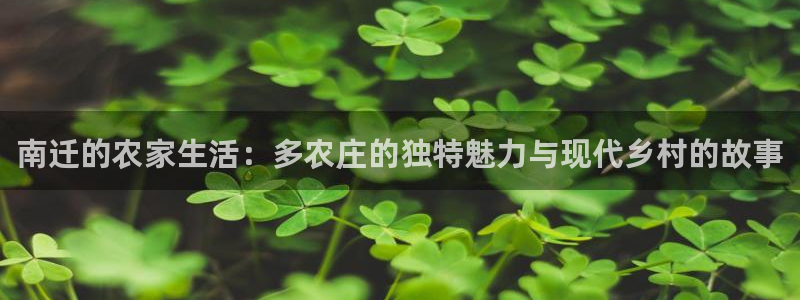 天富娱乐天辰娱乐