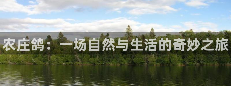 天辰娱乐官