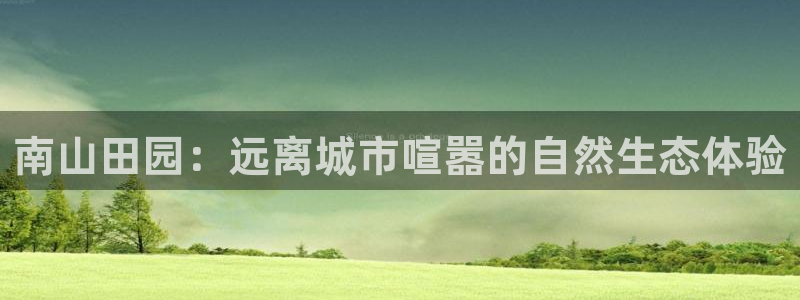 天辰娱乐44516