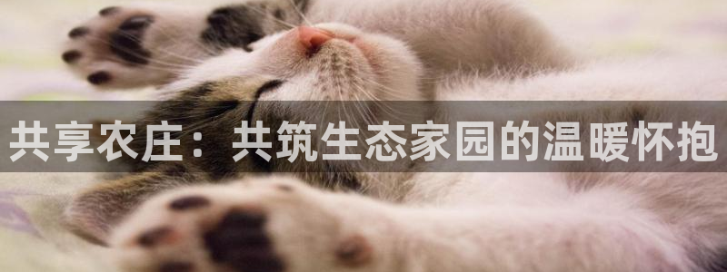 天辰娱乐鱼刺