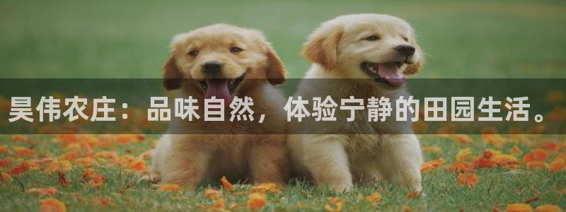 天辰娱乐平台安全吗