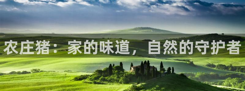 南充天辰娱乐