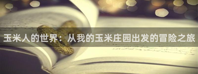 天辰娱乐官网平台入口