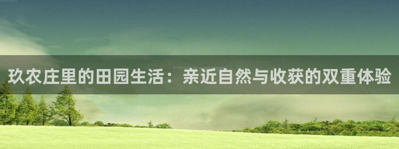 天辰娱乐厕所