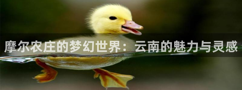 天辰娱乐官方