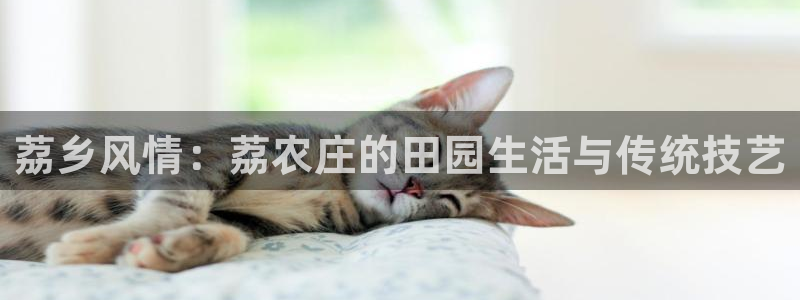 南京天辰娱乐