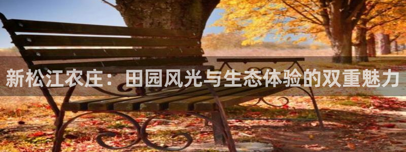 天辰平台娱乐