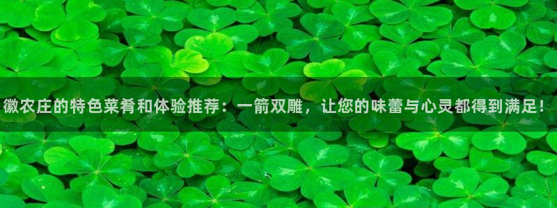 天辰娱乐招商