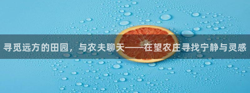 天辰娱乐说