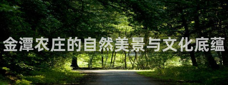 天辰娱乐 qq