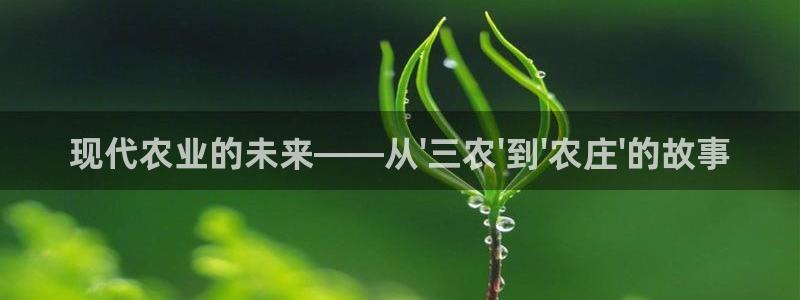 天辰娱乐文化
