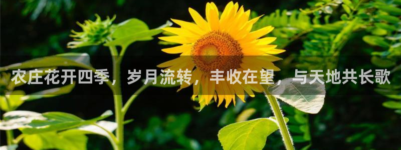 天辰app娱乐