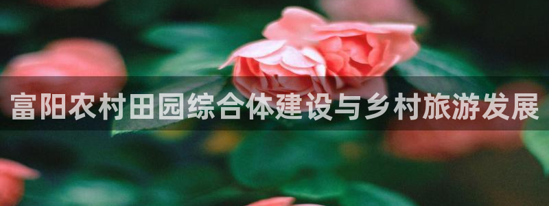 辰天娱乐用品