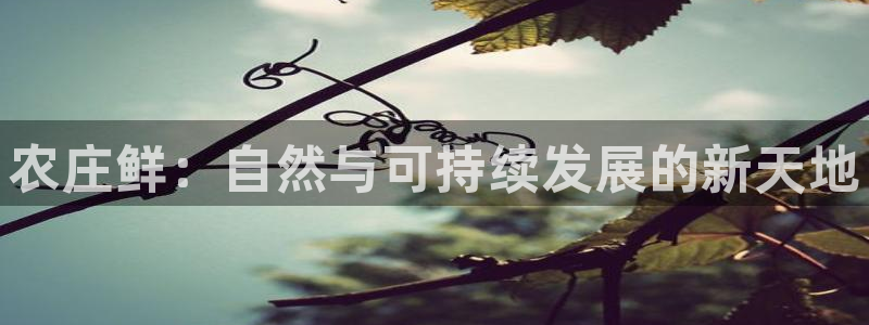 天辰娱乐说