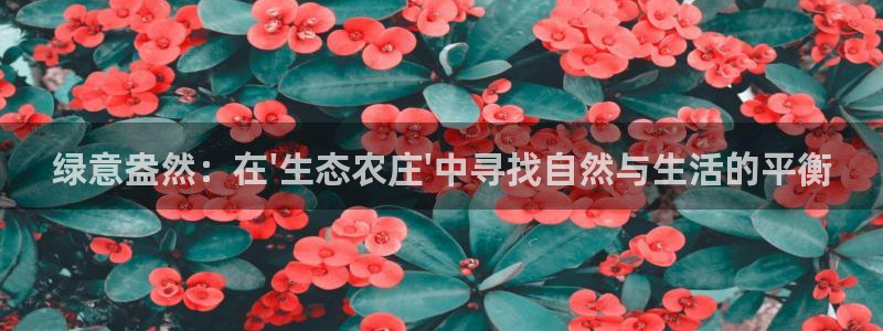 天辰娱乐酒店