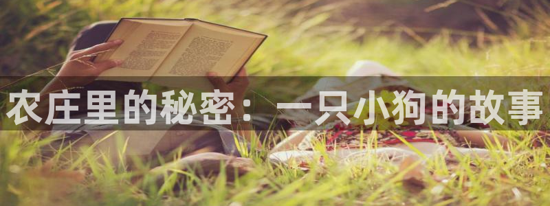 天辰娱乐服务