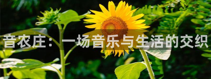 天辰娱乐指尖所