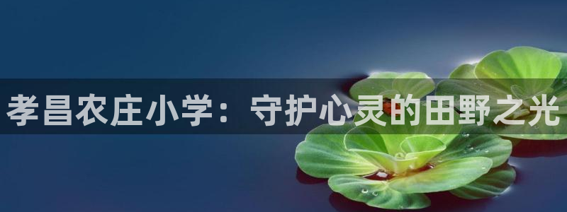 天辰娱乐招商