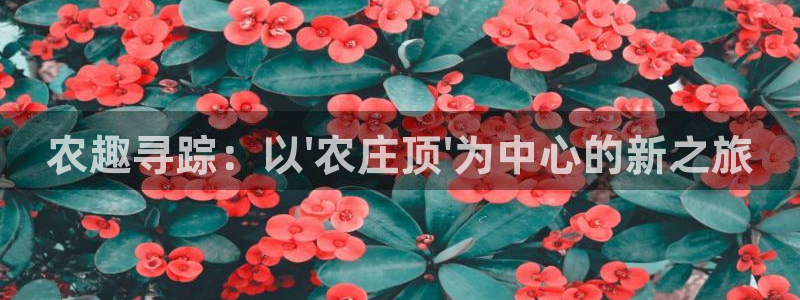 天辰娱乐平台地址在哪里