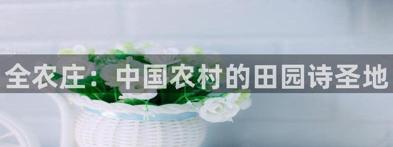 天辰娱乐1966
