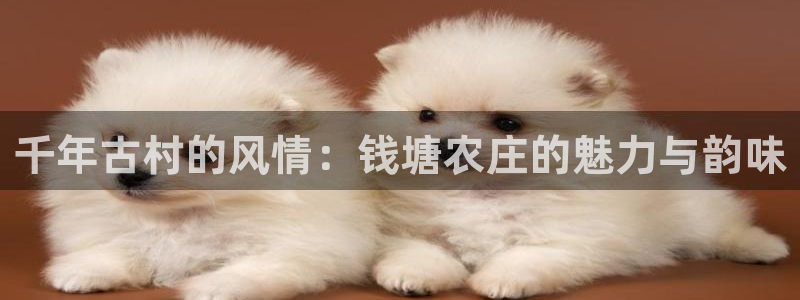 娱乐ktv天辰