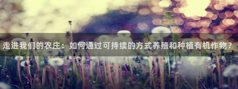 天辰娱乐股票
