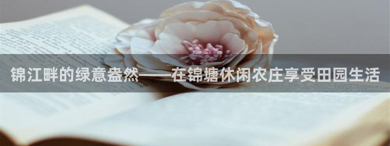 菲律宾天辰娱乐